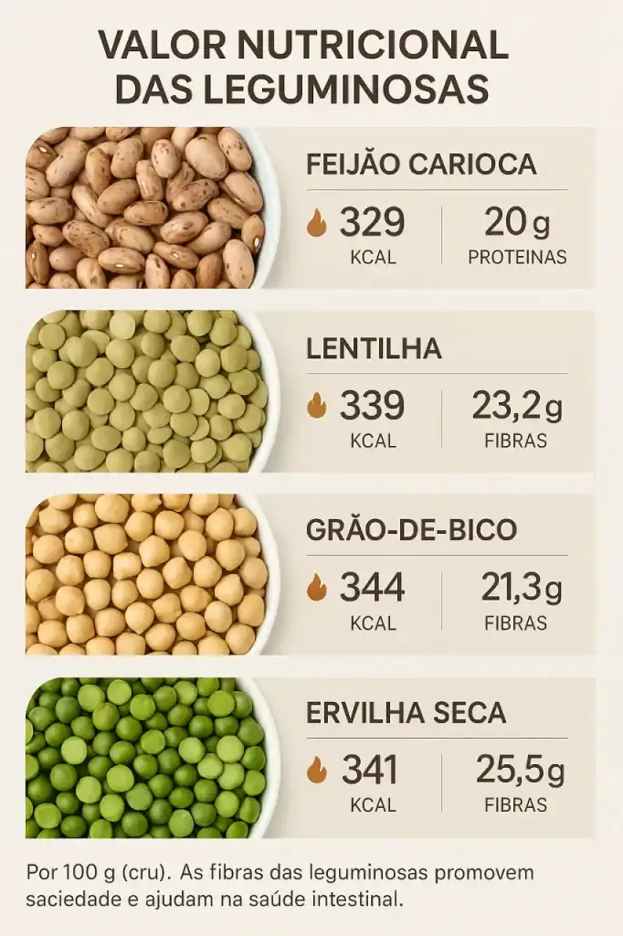 Infográfico colorido ilustrando o papel das leguminosas na nutrição, com destaque para proteínas, fibras e benefícios à saúde.