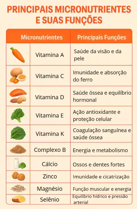 Tabela com os principais micronutrientes essenciais e suas principais funções no organismo.