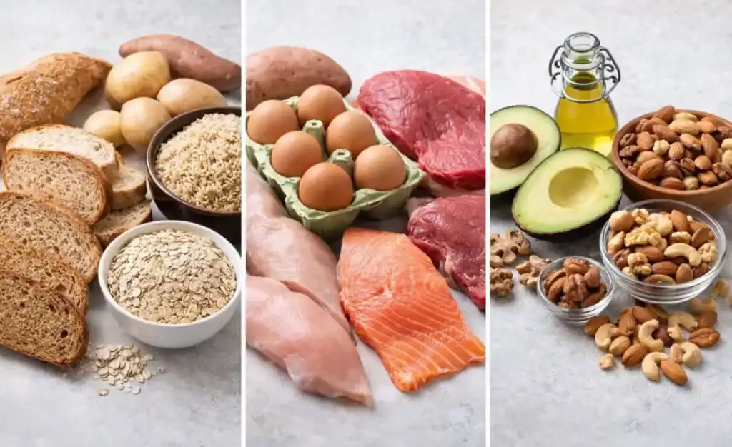 Alimentos organizados por grupo alimentar: carboidratos, proteínas e gorduras saudáveis